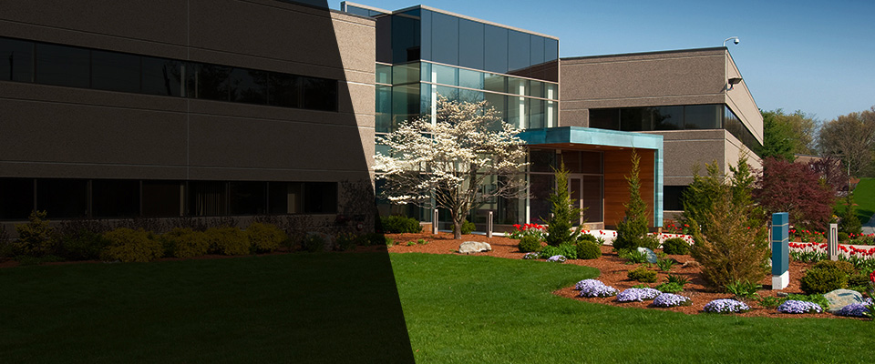 Mount Vernon Landscapers