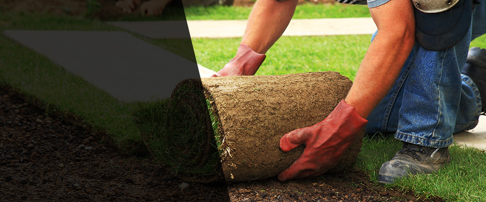 Mount Vernon Landscapers